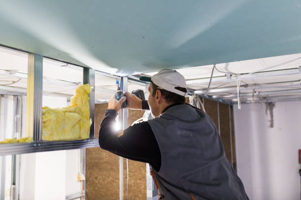 Best Geographic-Specific Insulation Services in Sebring, FL