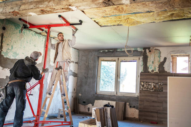 Best Cellulose Insulation in Sebring, FL